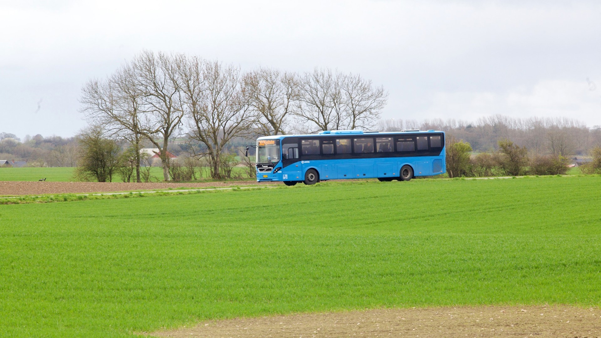bus på landevej